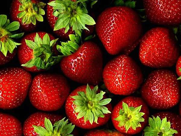 تصویر 1 از قیمت خرید توت فرنگی صادراتی + فروش ویژه